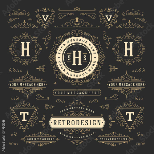 Vintage ornaments swirls and scrolls decorations design elements vector set flourishes ornate