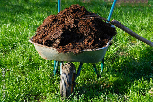 Garden cart full of humus and pitchfork on background of green lawn. photo