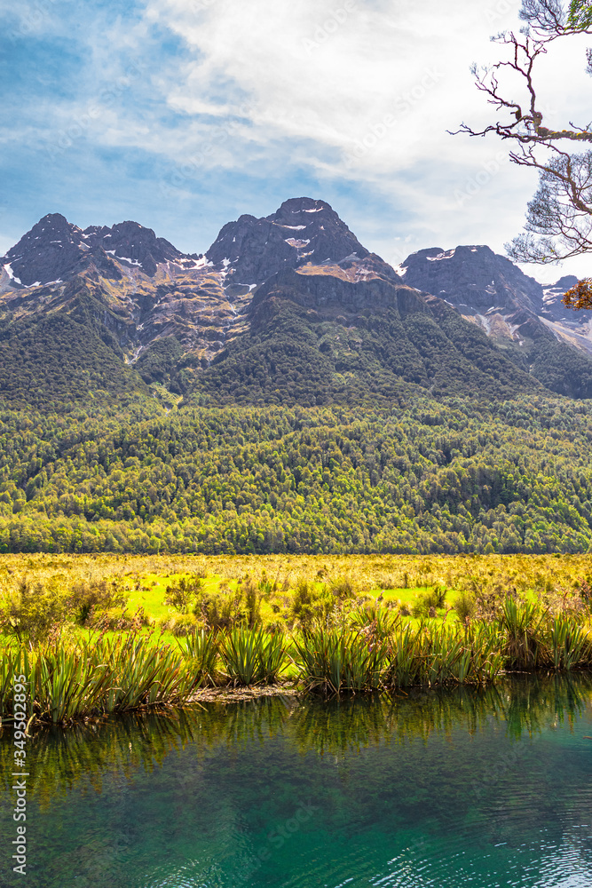 Landscapes of Lake Mirror. Forest, water and snowy peaks over the lake. New Zealand