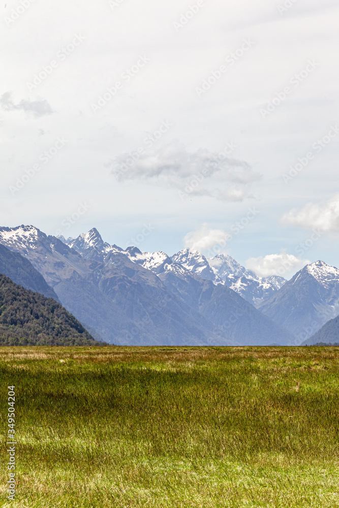 Field and distant snowy mountains. South Island landscapes. Fiordland National Park. New Zealand
