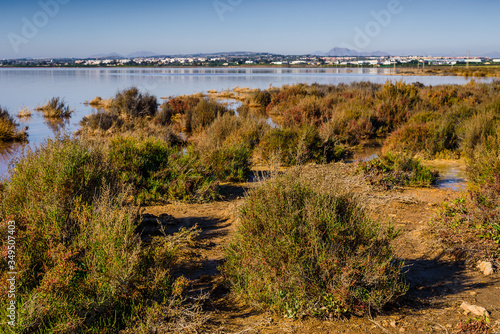 Pink salt lake near the town of Torrevieja. Alicante province. Spain