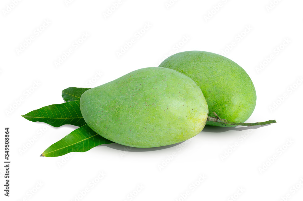 Fresh green mango and leaves isolated on white background Fresh green mango and leaves isolated on white background