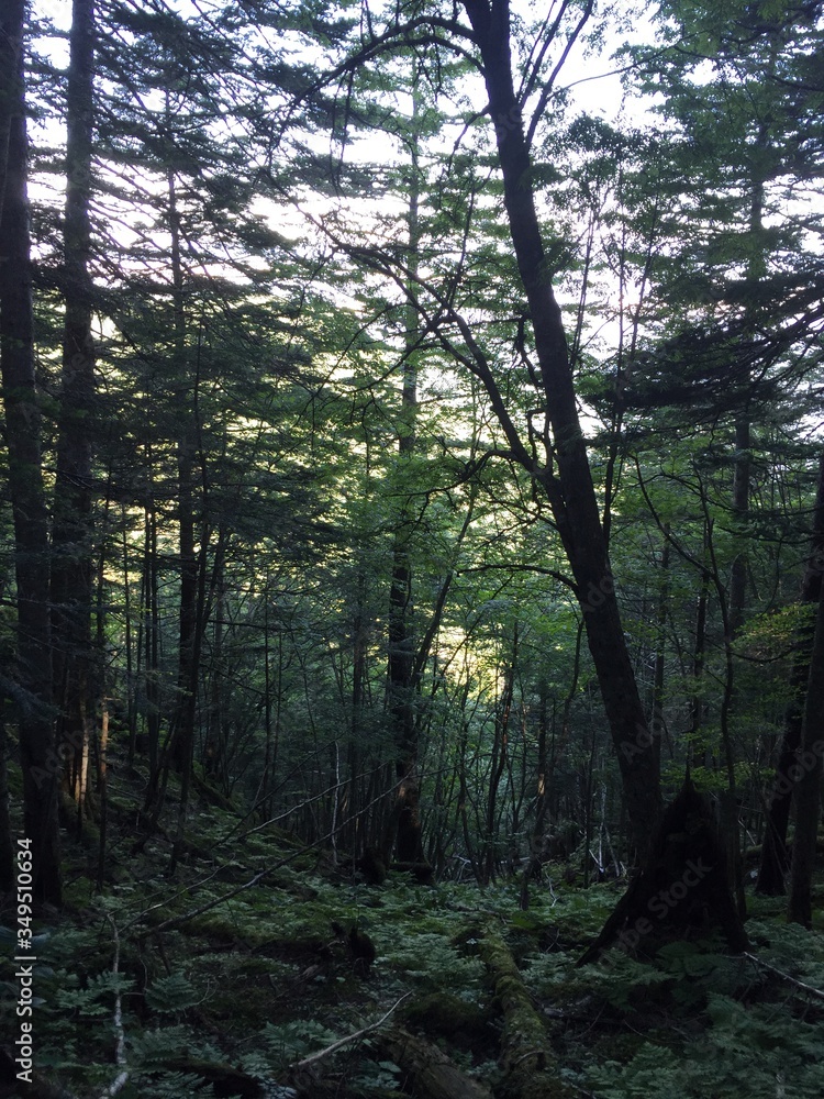 Naklejka premium Japan Southern Alps Mount Shiomi 日本 南アルプス 塩見岳