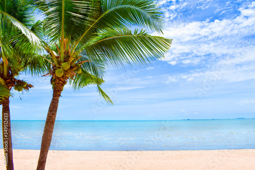 Fototapeta Naklejka Na Ścianę i Meble -  Tropical beach landscape with palm trees
