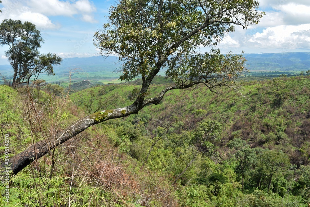 Scenic mountain landscpes in rural Kenya, Aberdare Ranges Scenic mountain landscpes in rural Kenya, Aberdare Ranges