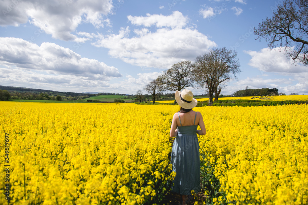 Girl from behind wearing a blue dress and a hat contemplating a beautiful yellow rapeseed flowers field in a sunny day