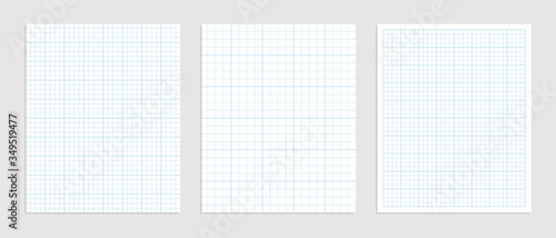 Mathematical graph paper set for data representation