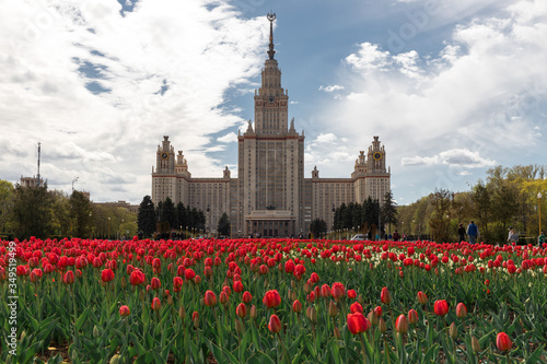 View of Lomonosov Moscow State University in Moscow, Russia. Scenery of Moscow with Main building of MSU in summer