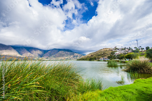 Beautiful view of some typical plants in the beautiful lake in Yahuarcocha , with a gorgeous cloudy day with the mountain behind in Ecuador