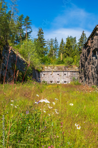 Flowers in a moat in an old fortress