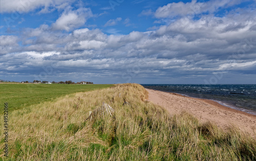 Small Marram Grass covered Dunes with fields behind and the small Fishing Village of East Haven in the distance on a sunny, but windy day in April.