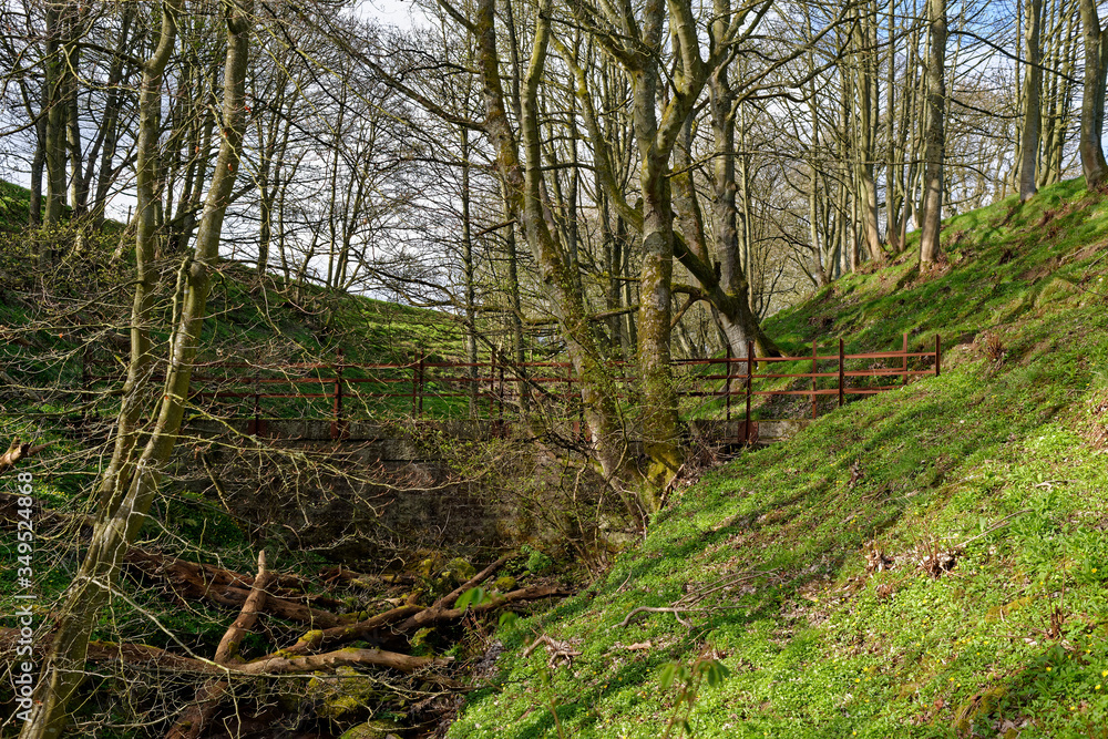 Sunlight and long shadows on the steep sides of a small River Valley with a stone footbridge hidden amongst the Trees. Sunlight and long shadows on the steep sides of a small River Valley with a stone footbridge hidden amongst the Trees.
