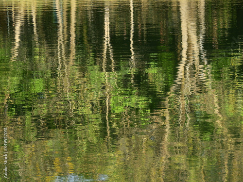 abstract reflection of tree on water in the pond
