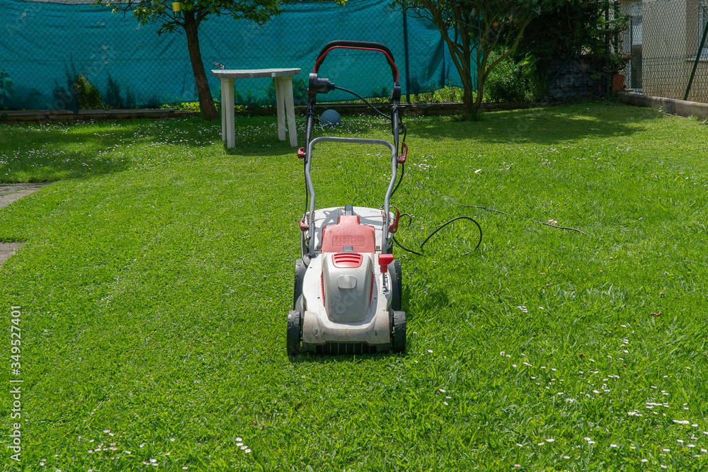 lawn mower in the garden