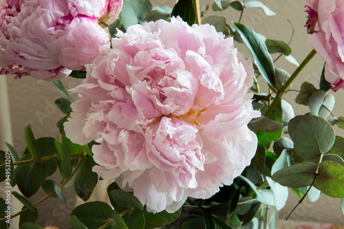 A Bouquet of season fresh peonies