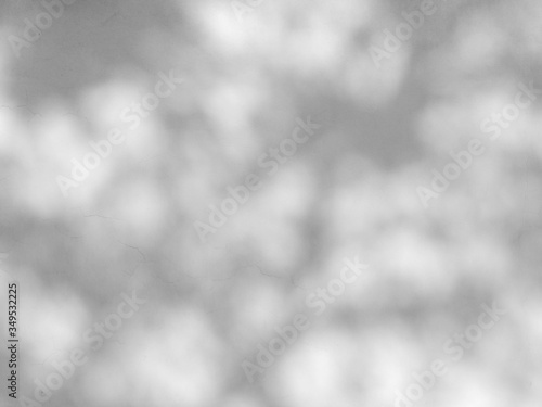 abstract shadow of the leaves on a white wall, shade background