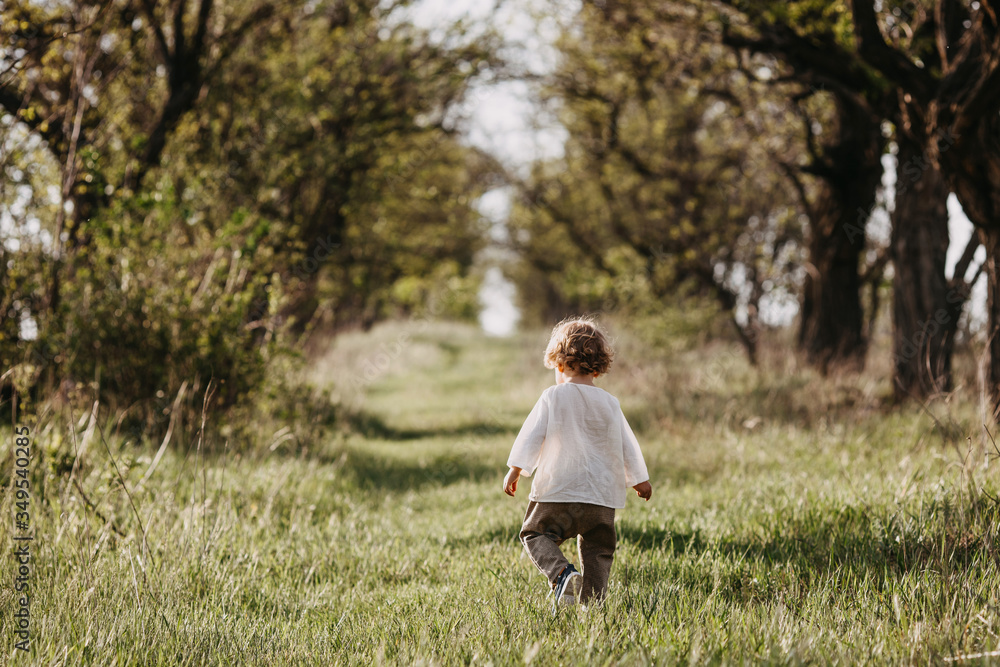 Little anonymous boy walking on a path with green grass, between tall trees in a forest, outdoors. Little anonymous boy walking on a path with green grass, between tall trees in a forest, outdoors.
