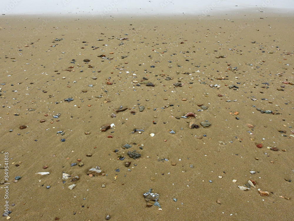 sand beach with shells and stone