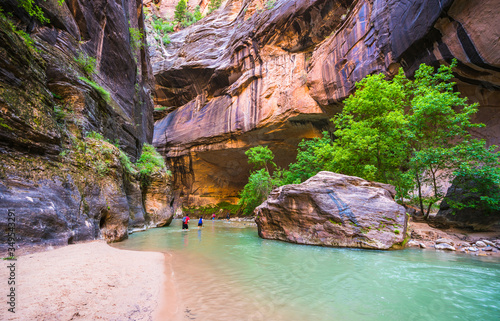 zion narrow with vergin river in Zion National park,Utah,usa. 