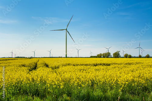 Green energy, wind farm and rapeseed field. Beautiful landscape in Poland.