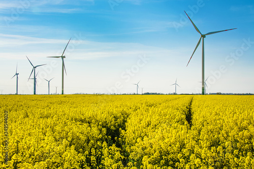 Green energy, wind farm and rapeseed field. Beautiful landscape in Poland.
