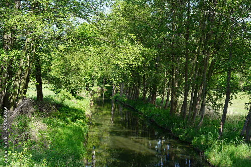Sonnige, grüne Spreewaldlandschaft Sonnige, grüne Spreewaldlandschaft