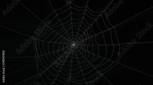 Bright footage with growing spider web