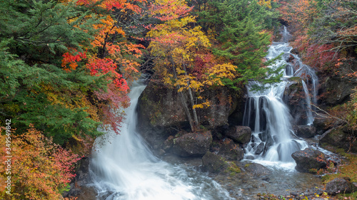 Refreshing scene of beautiful waterfall among colorful autumn trees on mountain for background with copy space   Nikko