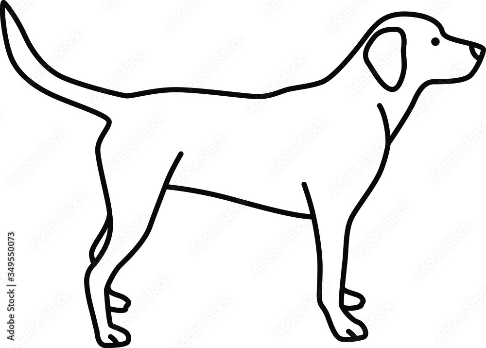 An icon illustration of a Labrador An icon illustration of a Labrador