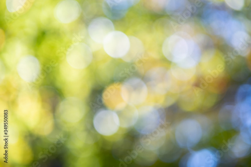 Bright colorful green and yellow background. Blurred light bokeh circles in autumn forest.