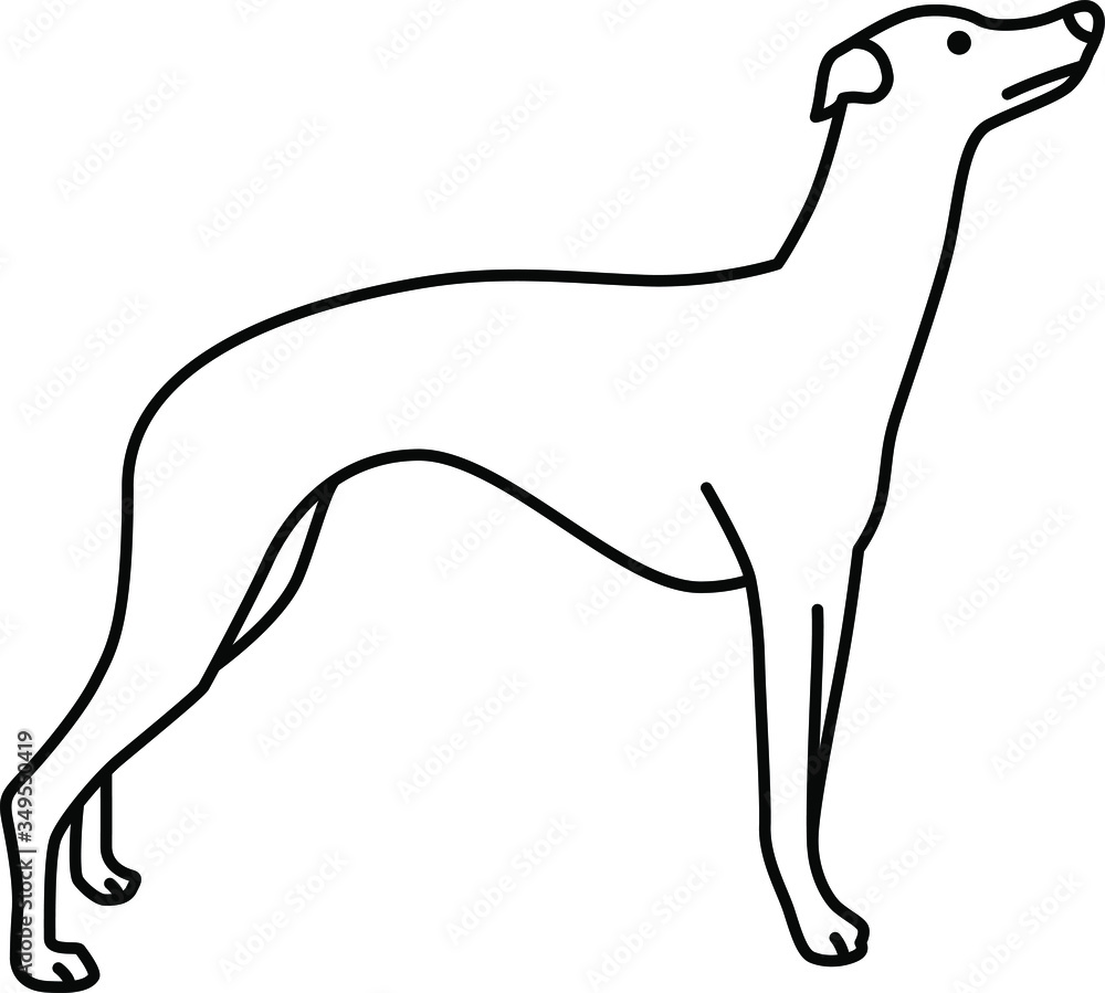An icon illustration of a Whippet