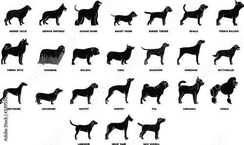 An icon illustration of Dogs