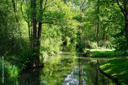 Fototapeta Naklejka Na Ścianę i Meble -  Sonnige, grüne Wasserlandschaft im Spreewald