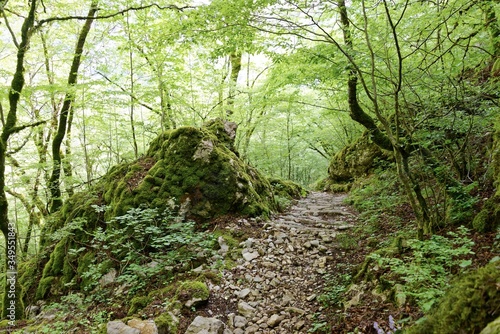 Griechenland - Vikos-Aoos Nationalpark - Vikos Schlucht - Wanderweg photo