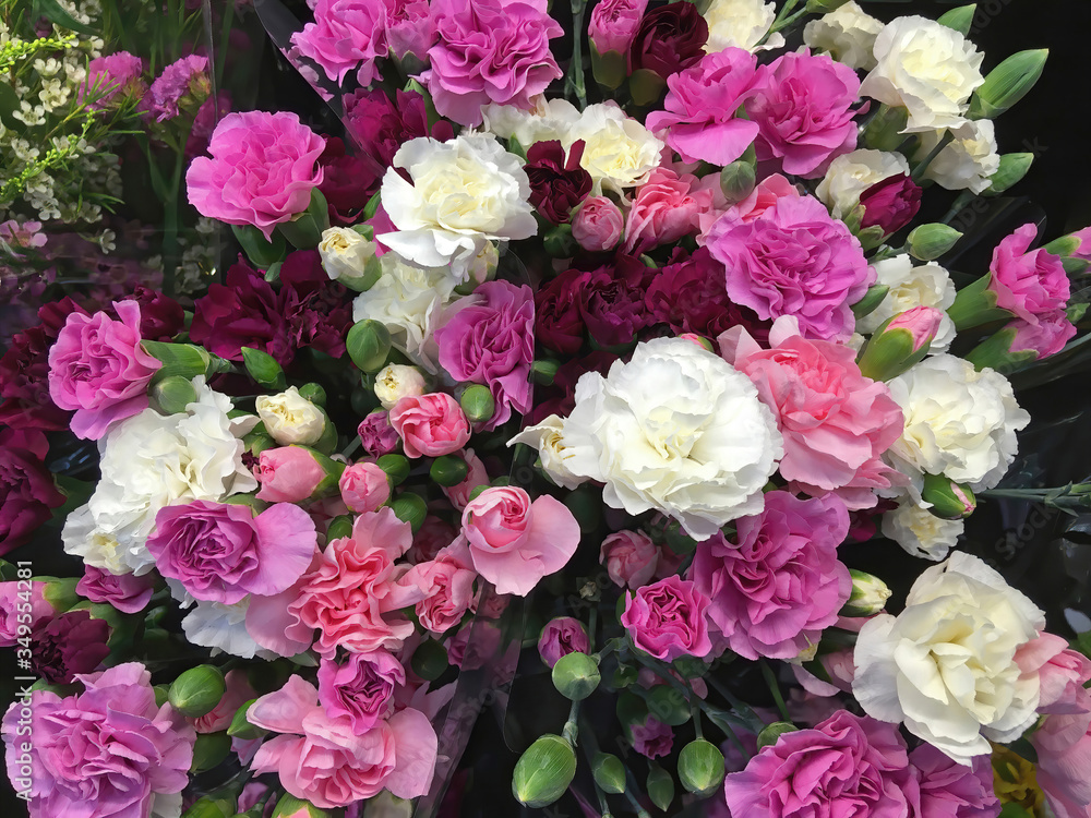Full frame close-up view from directly above of beautiful bouquets of fresh pink and white carnations Full frame close-up view from directly above of beautiful bouquets of fresh pink and white carnations