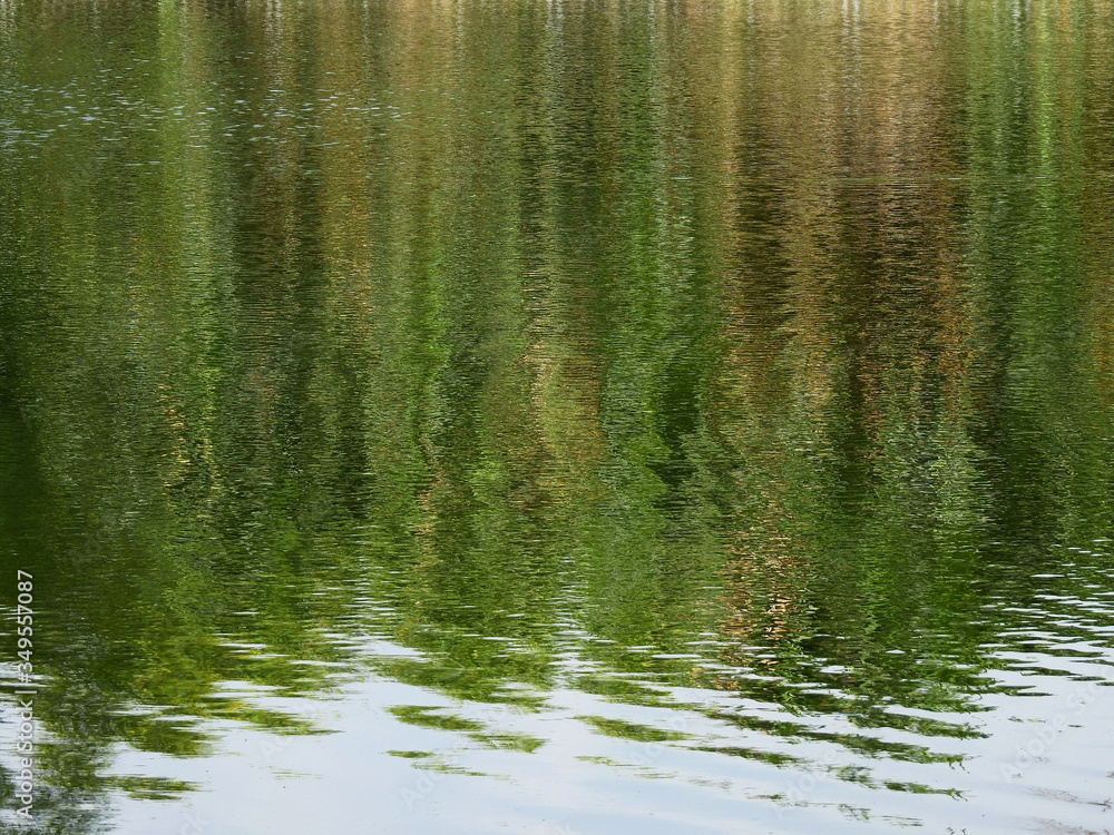 abstract water reflection of tree in the pond abstract water reflection of tree in the pond