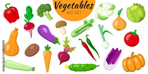 Set of 20 vegetable icons isolated on a white background. bright icons in the flat style. healthy food, organic food, vegetarian food. Vector illustration.