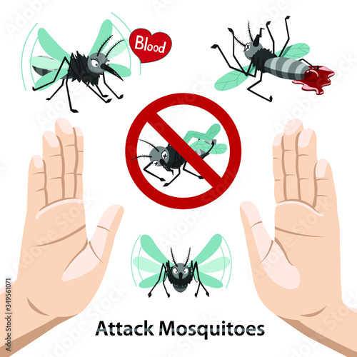 kill mosquito