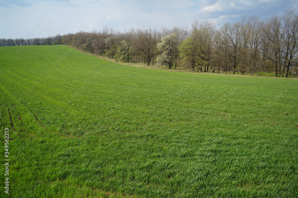 Spring coming to the land