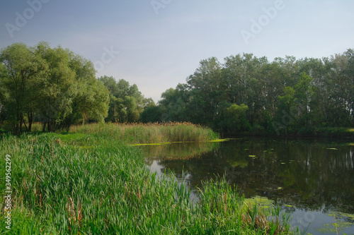Obraz na płótnie river, land with trees and blue sky w salonie