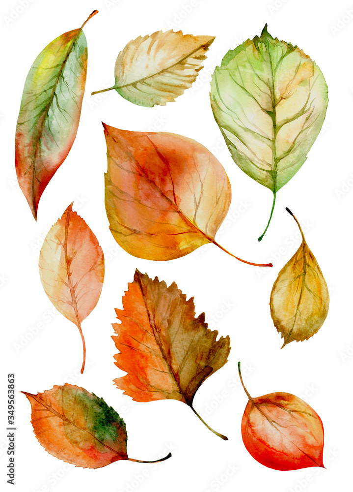 Obraz premium watercolor autumn leaves set isolated on white background