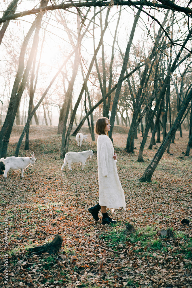 portrait of a young attractive fair haired girl in a light white dress and black shoes in a picturesque forest with goats in autumn.natural,fashion concept