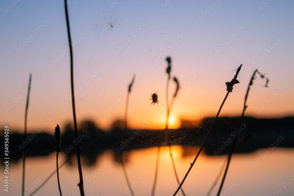 Obraz premium beautiful orange sunset over lake