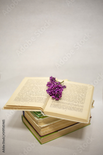 Open book with a sprig of lilac on a white background