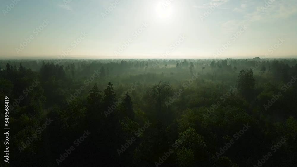 Aerial view of a beautiful morning forest in Bavaria. The sun illuminates a breathtaking german forest. Bird's eye view near Munich Aerial view of a beautiful morning forest in Bavaria. The sun illuminates a breathtaking german forest. Bird's eye view near Munich