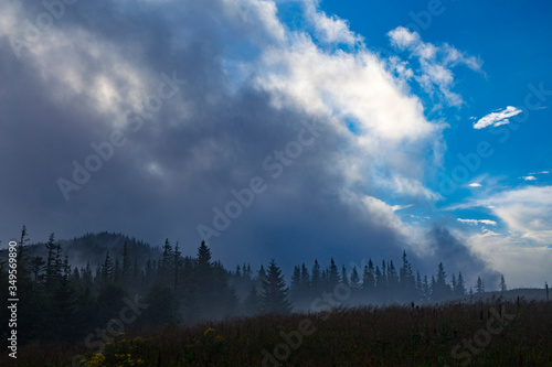 Coniferous forest in the mountains in the fog and the blue sky breaking through the clouds