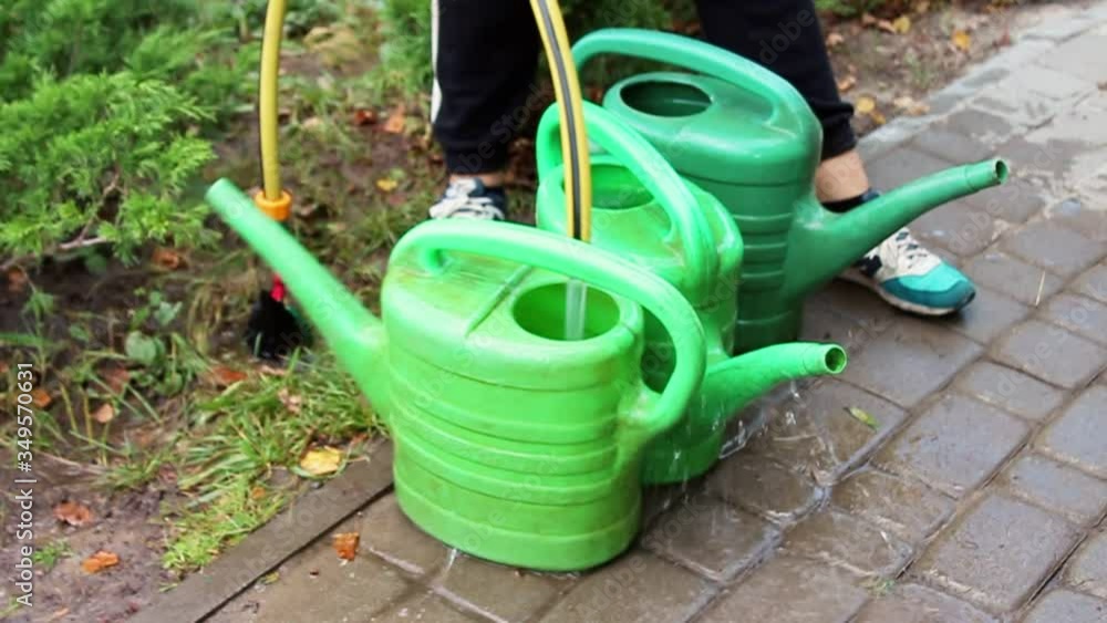 A woman gathers water in a watering can for watering flowers. A woman gathers water in a watering can for watering flowers.
