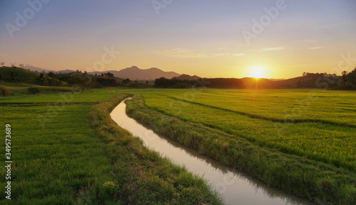 the beautiful sun rises in the rice fields