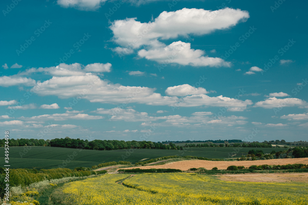 Countryside landscape or English field in Springtime.