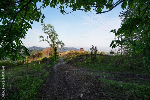 Hostyn under the ramparts. View to forest road from Slavkov.  M.oravia. Czechia. Europe. photo